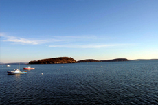 Bar Harbor Scenic Cruise cruise excursion